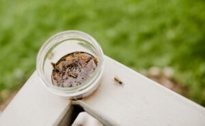 does killing a wasp attract more